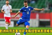 开元棋牌-斯洛文尼亚晋级：欧预赛小组赛拼尽全力的简单介绍
