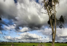 开元官方下载-热刺主场大胜，重回胜利赛道